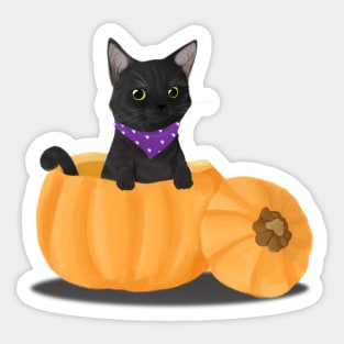 Pumpkin Cat Sticker